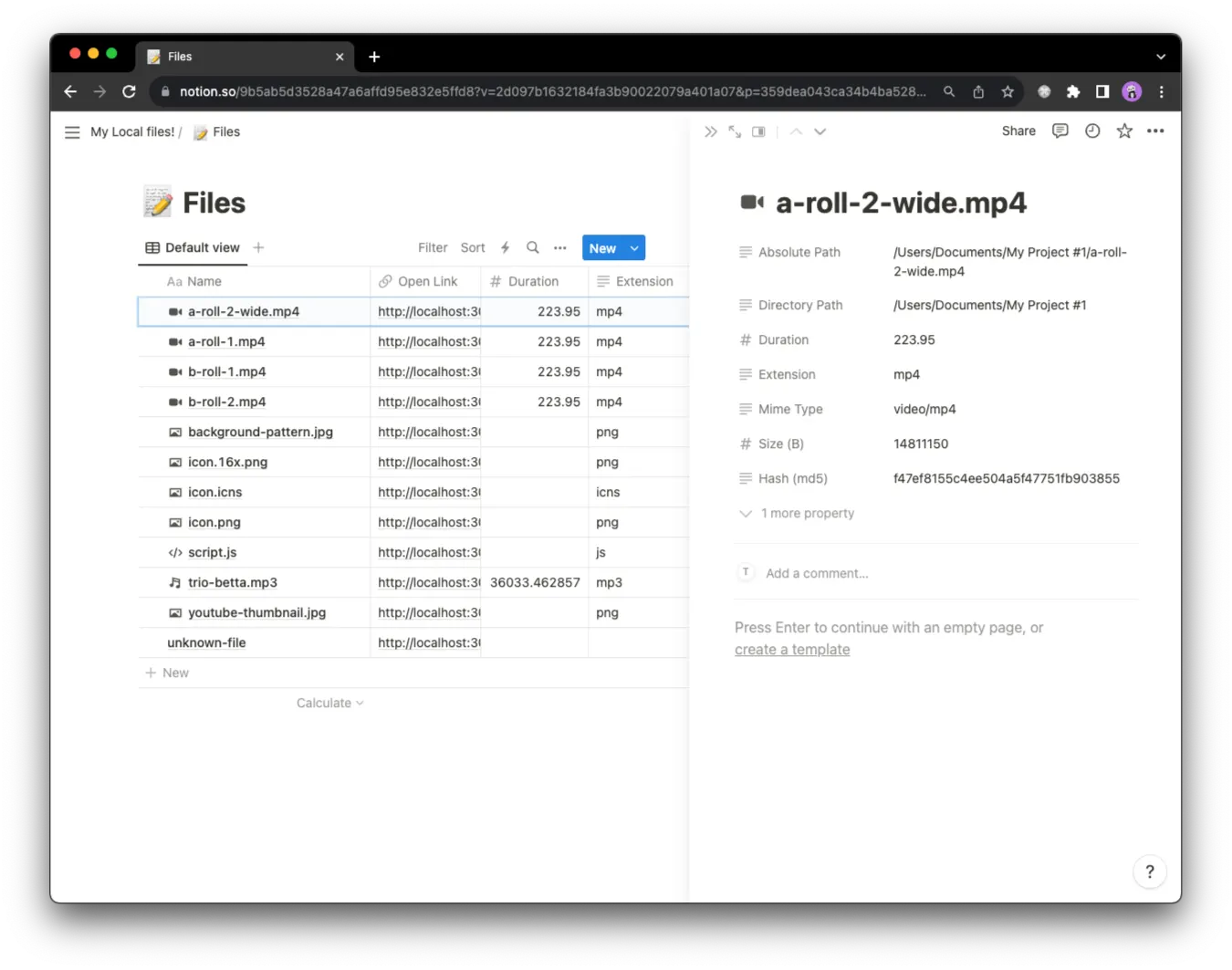 Notion file database showing file names, types, sizes, and local paths